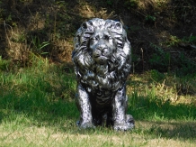 Prachtig beeld van een leeuw, polystone, zilver-grijs, mooi in detail!