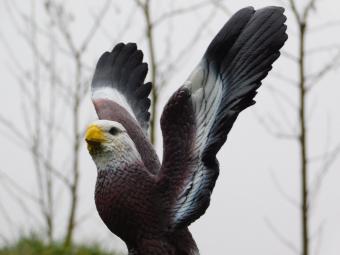 Statue Eagle - 35 cm - Polystone