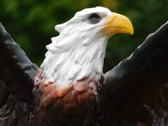 Adler mit ausgebreiteten Flügeln – 55 cm – Polystone