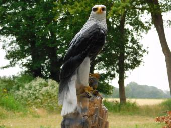 Dekorativer Adler – 50 cm – Polystone