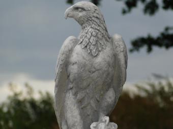 Tuinbeeld Adelaar - 50 cm - Stenen Dierenbeeld 