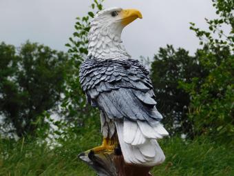 Eagle XL – 65 cm – Black and White – Polystone
