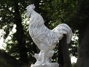 Tuinbeeld Haan XL op Sokkel - 112 cm - Stenen Dierenbeeld met Zuil