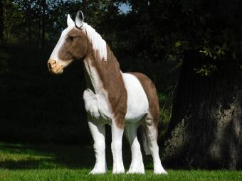 Brown and White Horse Statue - 105 cm - Polystone