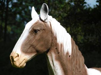 Brown and White Horse Statue - 105 cm - Polystone