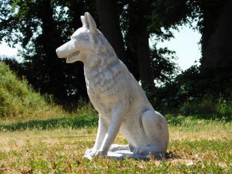 Beeld Wolf XL - 70 x 60 cm - Steen