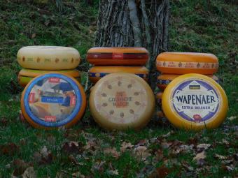 Dekorativer Käse-Laib – Ø 35 cm – verschiedene Sorten