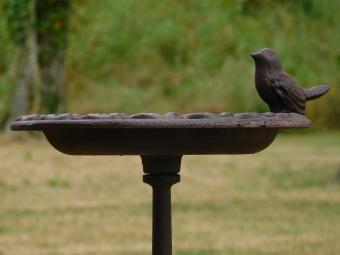 Elegantes Vogelbad aus Gusseisen auf Sockel – Vintage-Braun – ca. 40 cm hoch