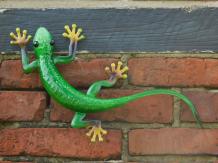 Gecko in colour - hand-painted - metal - wall deco