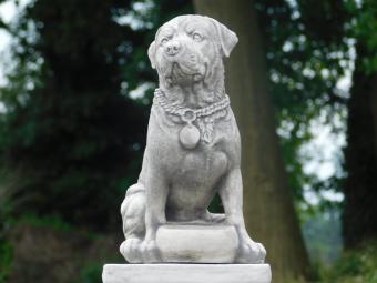 Dog on Pedestal - 68 cm - Stone