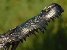 Sculpture crocodile head - Aluminium - Abstract