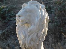 Schöner sitzender Löwe, Polystone, schöne Statue, Blick nach rechts