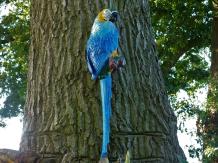Blauer Papagei XL - Gusseisen - Bunte Wanddekoration