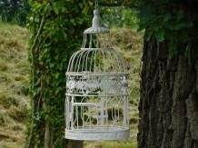 Set of 2 Bird Cages - Round - Vintage White