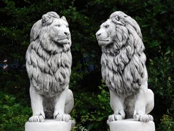 Set Lions XXL - 135 cm - White with Dark Accents