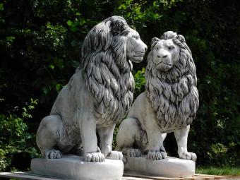 Set Lions XXL - 135 cm - White with Dark Accents