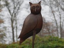 Statue owl - wise owl - metal in cast iron look