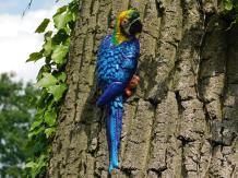 Blauer Papagei - Gusseisen - Wanddekoration