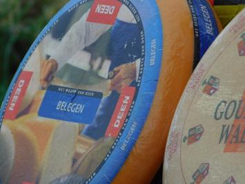 Dekorative Käseräder – 3 Stück – Ø 35 cm – verschiedene Sorten