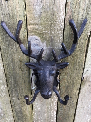 Deer head with antlers and 2 clothes hooks, Wardrobe coat rack for hunting enthusiasts!!