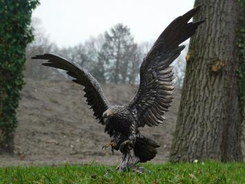 Adler - Bronze - Polystone- Nur Abholung!!