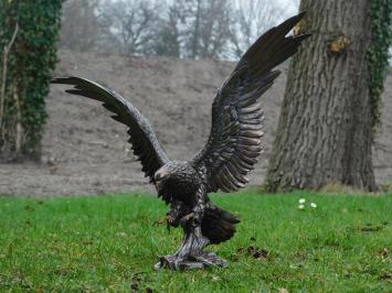 Adler - Bronze - Polystone- Nur Abholung!!