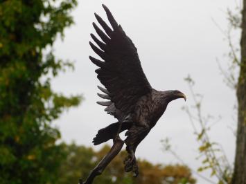 Bronzeadler auf Marmorsockel - 51 cm - Skulptur