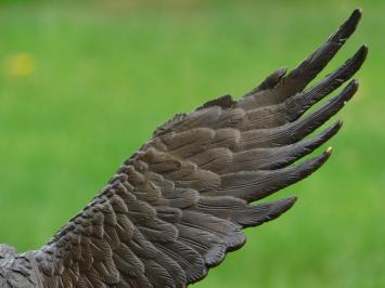 Bronzeadler auf Marmorsockel - 51 cm - Skulptur