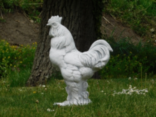 Statue Rooster - solid stone