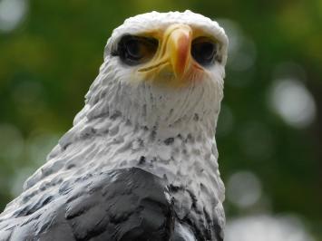 Dekorativer Adler – 50 cm – Polystone