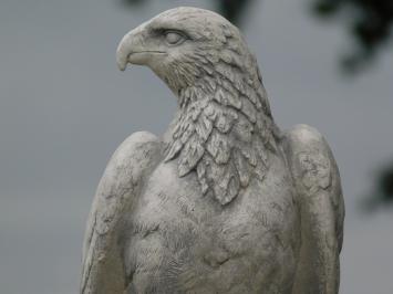 Tuinbeeld Adelaar - 50 cm - Stenen Dierenbeeld 