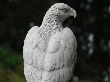 Tuinbeeld Adelaar - 50 cm - Stenen Dierenbeeld 