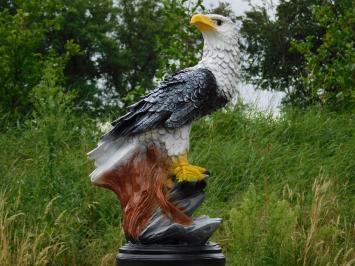 Eagle XL – 65 cm – Black and White – Polystone
