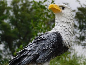 Eagle XL – 65 cm – Black and White – Polystone