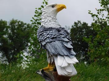 Eagle XL – 65 cm – Black and White – Polystone