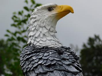 Eagle XL – 65 cm – Black and White – Polystone