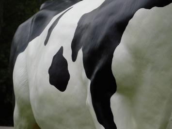Cow Statue XXL - 147 x 205 cm - Polystone