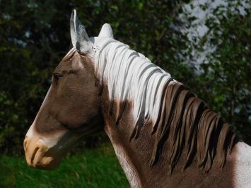 Brown and White Horse Statue - 105 cm - Polystone