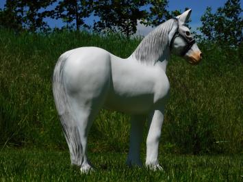 Beeld Paard - 75 x 70 cm - Wit - Polystone
