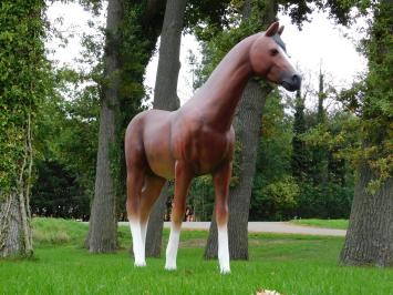 Beeld Paard XXL - 190 x 220 cm - Polystone