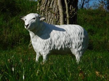 Sheep Statue - 45 cm - Polystone