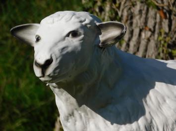 Sheep Statue - 45 cm - Polystone