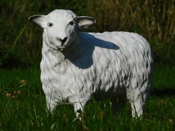 Sheep Statue - 45 cm - Polystone