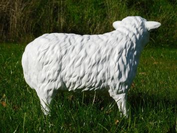 Sheep Statue - 45 cm - Polystone