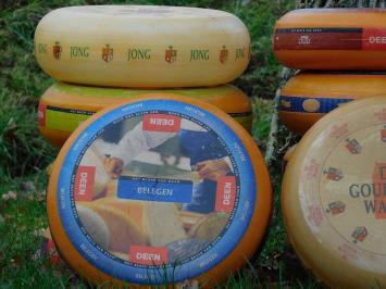 Dekorativer Käse-Laib – Ø 35 cm – verschiedene Sorten