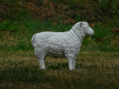Decoratief Lammetje - wit - polystone