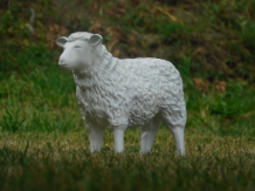 Decoratief Lammetje - wit - polystone