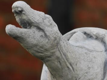 Beeld Dino uit Ei - Volledig Steen - Wit/Grijs