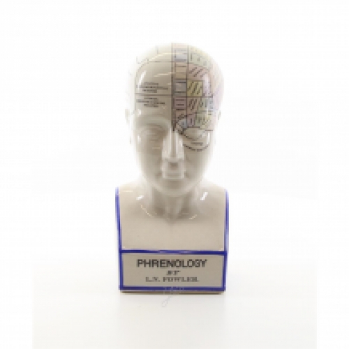 EEN PORSELEINEN PHRENOLOGY HOOFD IN KLEUR.