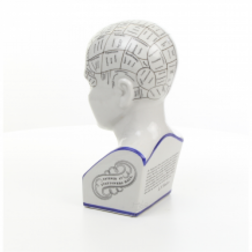 EEN PORSELEINEN PHRENOLOGY HOOFD IN BLAUW KLEURING.